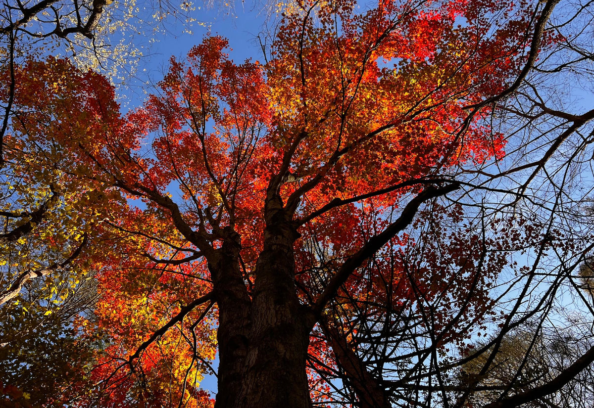 Gemstone SPECIALS!! Twin Rocks and Crystals Tagged "sale"