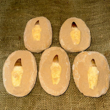 Load image into Gallery viewer, Mosasaur Tooth with Matrix (5-6")