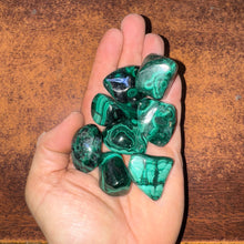 Load image into Gallery viewer, Polished Malachite - 1/2 LB Lot