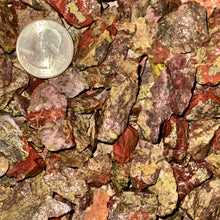 Load image into Gallery viewer, Halloween SALE!! SMALL Dragonstone Rough (By the Pound)