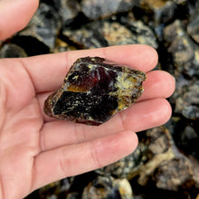 Load image into Gallery viewer, Amber Rough (By the Pound)