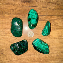 Load image into Gallery viewer, Polished Malachite Free Form Specimens - 1/2 lb Lot (1-3 pieces)