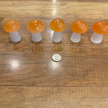 Load image into Gallery viewer, Peach & White Selenite Mushroom