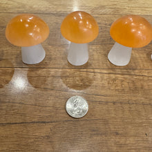 Load image into Gallery viewer, Peach & White Selenite Mushroom