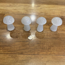 Load image into Gallery viewer, White Selenite Mushroom