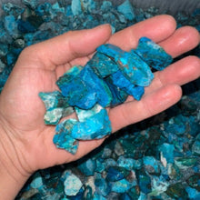 Load image into Gallery viewer, CLOSEOUT SALE!! Small Chrysocolla Turquoise Rough (5 POUNDS)