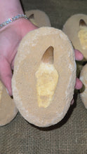 Load and play video in Gallery viewer, Mosasaur Tooth with Matrix (5-6")