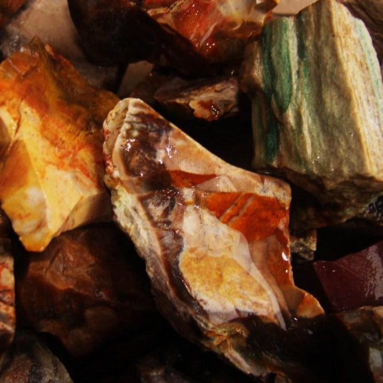 Petrified Wood Rough (By the Pound) - Twin Rocks and Crystals