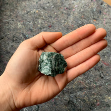 Load image into Gallery viewer, Charged Green Tree Agate Single Stone