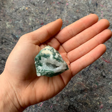 Load image into Gallery viewer, Charged Green Tree Agate Single Stone