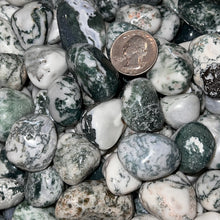 Load image into Gallery viewer, Polished Green Tree Agate - 1/2 LB