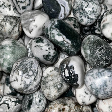 Load image into Gallery viewer, Polished Green Tree Agate - 1/2 LB