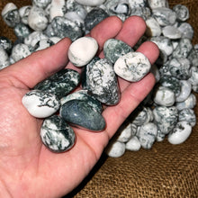 Load image into Gallery viewer, Polished Green Tree Agate - 1/2 LB