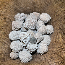 Load image into Gallery viewer, Selenite Desert Rose (LARGE) (By the Pound)