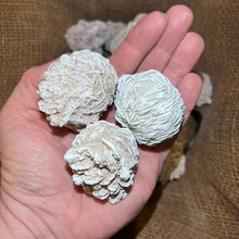 Load image into Gallery viewer, Selenite Desert Rose (LARGE) (By the Pound)