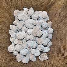 Load image into Gallery viewer, Selenite Desert Rose (By the Pound)