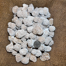Load image into Gallery viewer, Selenite Desert Rose (By the Pound)