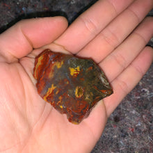 Load image into Gallery viewer, Charged Chestnut Jasper Single Stone