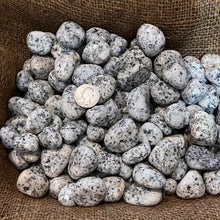 Load image into Gallery viewer, Polished Dalmatian Jasper - 1/2 LB