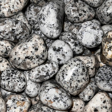 Load image into Gallery viewer, Polished Dalmatian Jasper - 1/2 LB