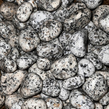 Load image into Gallery viewer, Polished Dalmatian Jasper - 1/2 LB