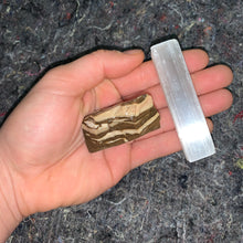 Load image into Gallery viewer, Charged Zebra Jasper Single Stone