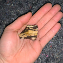 Load image into Gallery viewer, Charged Zebra Jasper Single Stone