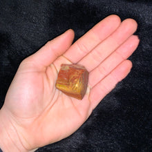 Load image into Gallery viewer, Charged Petrified Wood Single Stone