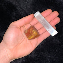 Load image into Gallery viewer, Charged Petrified Wood Single Stone