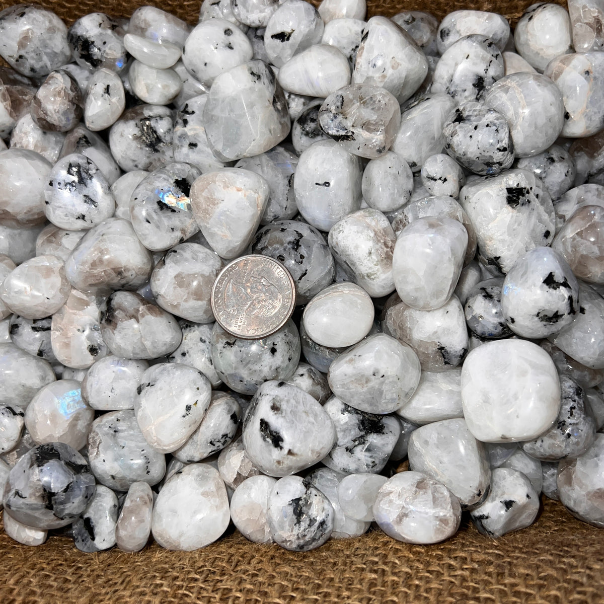 Polished Rainbow Moonstone - 1/2 LB – Twin Rocks and Crystals