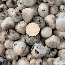 Load image into Gallery viewer, Polished Rainbow Moonstone - 1/2 LB