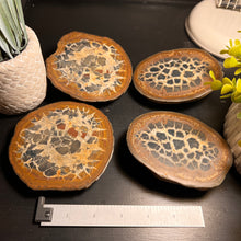 Load image into Gallery viewer, Septarian Nodule Fossil Pairs (XLARGE) (2 Halves)