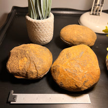 Load image into Gallery viewer, Septarian Nodule Fossil Pairs (XLARGE) (2 Halves)