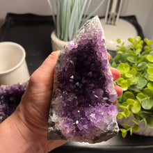 Load image into Gallery viewer, Amethyst Cut Base Size 3 (1.3 - 1.8 lbs) Amethyst Druze Geode - Home Decor