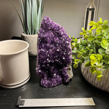 Load image into Gallery viewer, Amethyst Cut Base Size 5 (2.5 - 3.5 lbs) Amethyst Druze Geode - Home Decor