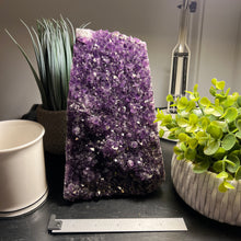 Load image into Gallery viewer, Halloween SALE!! Amethyst Cut Base Size 7 (6 - 8 lbs) Amethyst Druze Geode - Home Decor