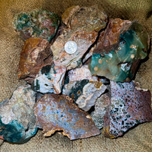 Load image into Gallery viewer, SALE!! LARGE Ocean Jasper Rough (5 Pounds)
