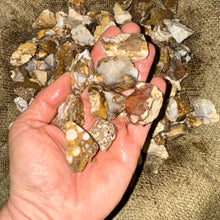 Load image into Gallery viewer, SALE!! Picture Stone Rough (By the Pound)
