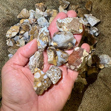 Load image into Gallery viewer, SALE!! Picture Stone Rough (By the Pound)
