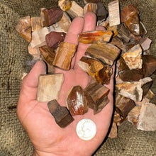 Load image into Gallery viewer, Petrified Wood Rough (By the Pound)
