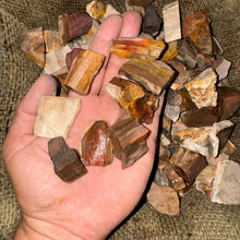 Load image into Gallery viewer, Petrified Wood Rough (By the Pound)
