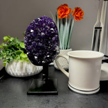 Load image into Gallery viewer, Amethyst Druze on Custom Metal Stand Size 2 (2-3 lb) High End Specimen
