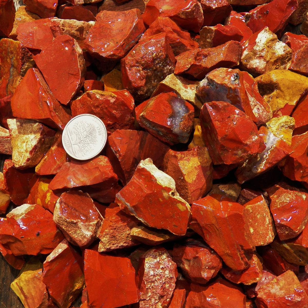 Chestnut Jasper Rough (By the Pound) Twin Rocks and Crystals