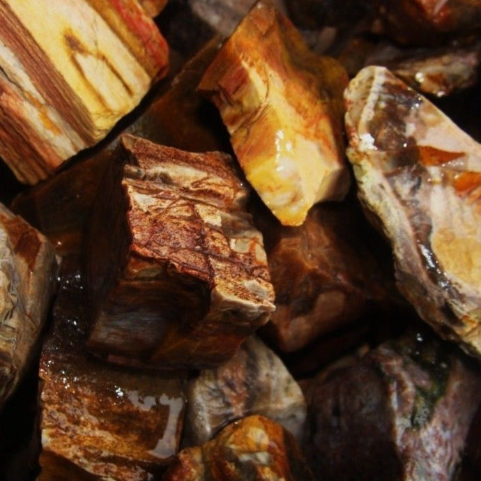 Petrified Wood Rough (By the Pound)
