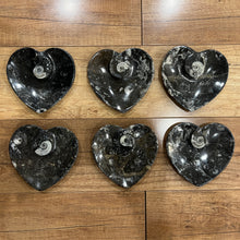 Load image into Gallery viewer, Black Orthoceras &amp; Ammonite Fossil Heart Dish/Bowl (~4.5&quot;)
