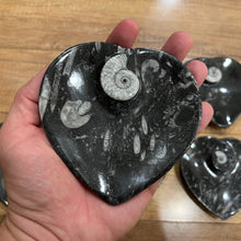 Load image into Gallery viewer, Black Orthoceras &amp; Ammonite Fossil Heart Dish/Bowl (~4.5&quot;)
