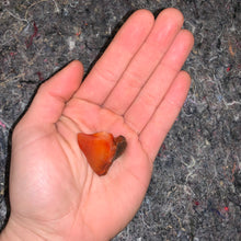 Load image into Gallery viewer, Charged Small Carnelian Single Stone
