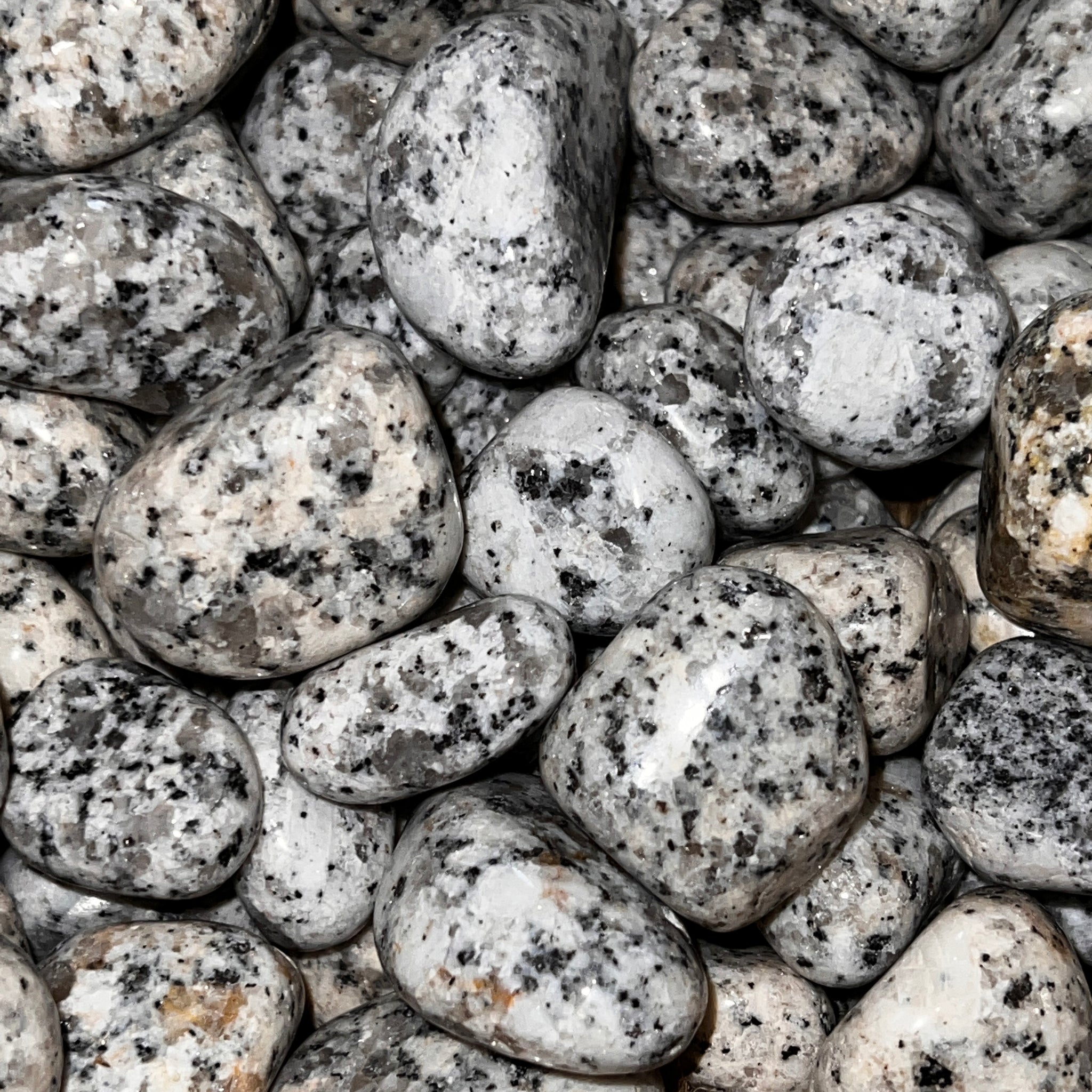 オーシャンジャスパー ホワイトダルメシアン Polished Dalmatian Jasper - 1/2 LB – Twin Rocks and Crystals
