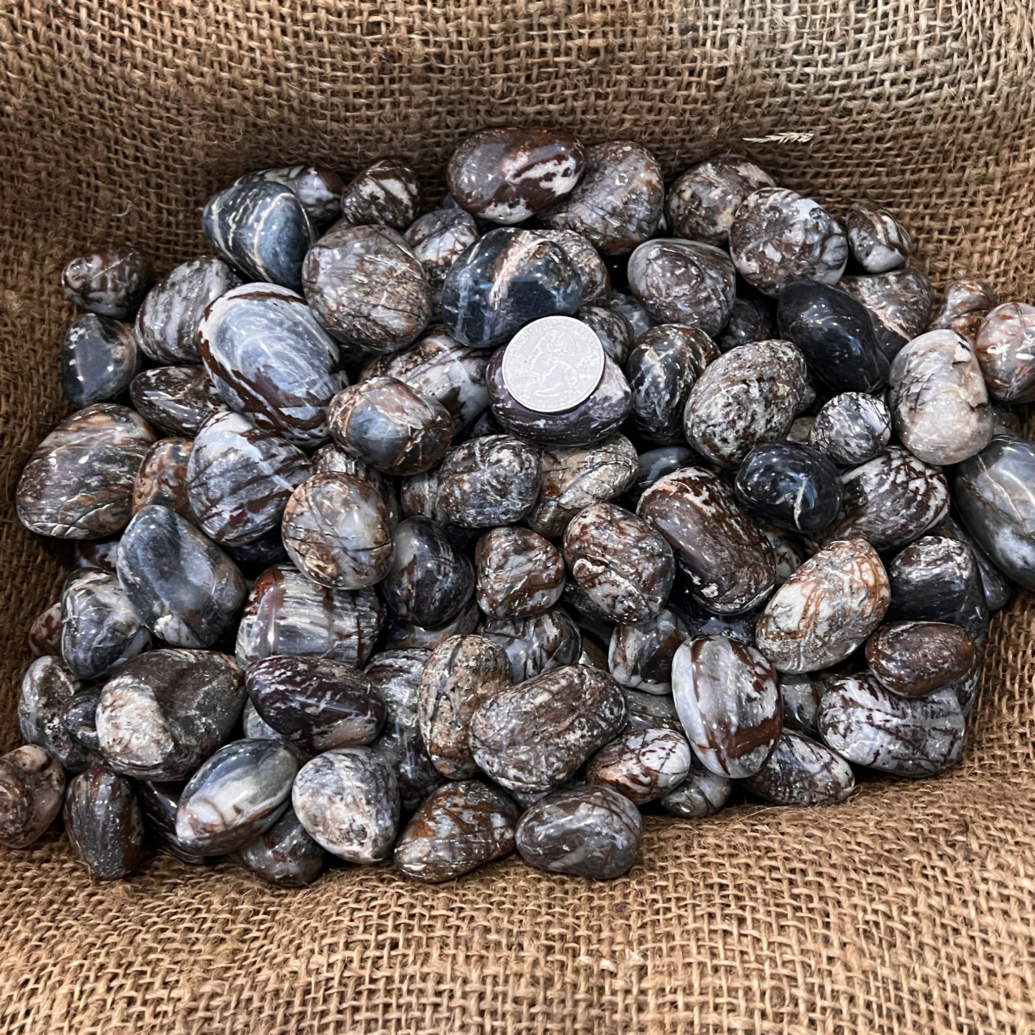 Polished Panther Jasper - 1/2 LB – Twin Rocks and Crystals