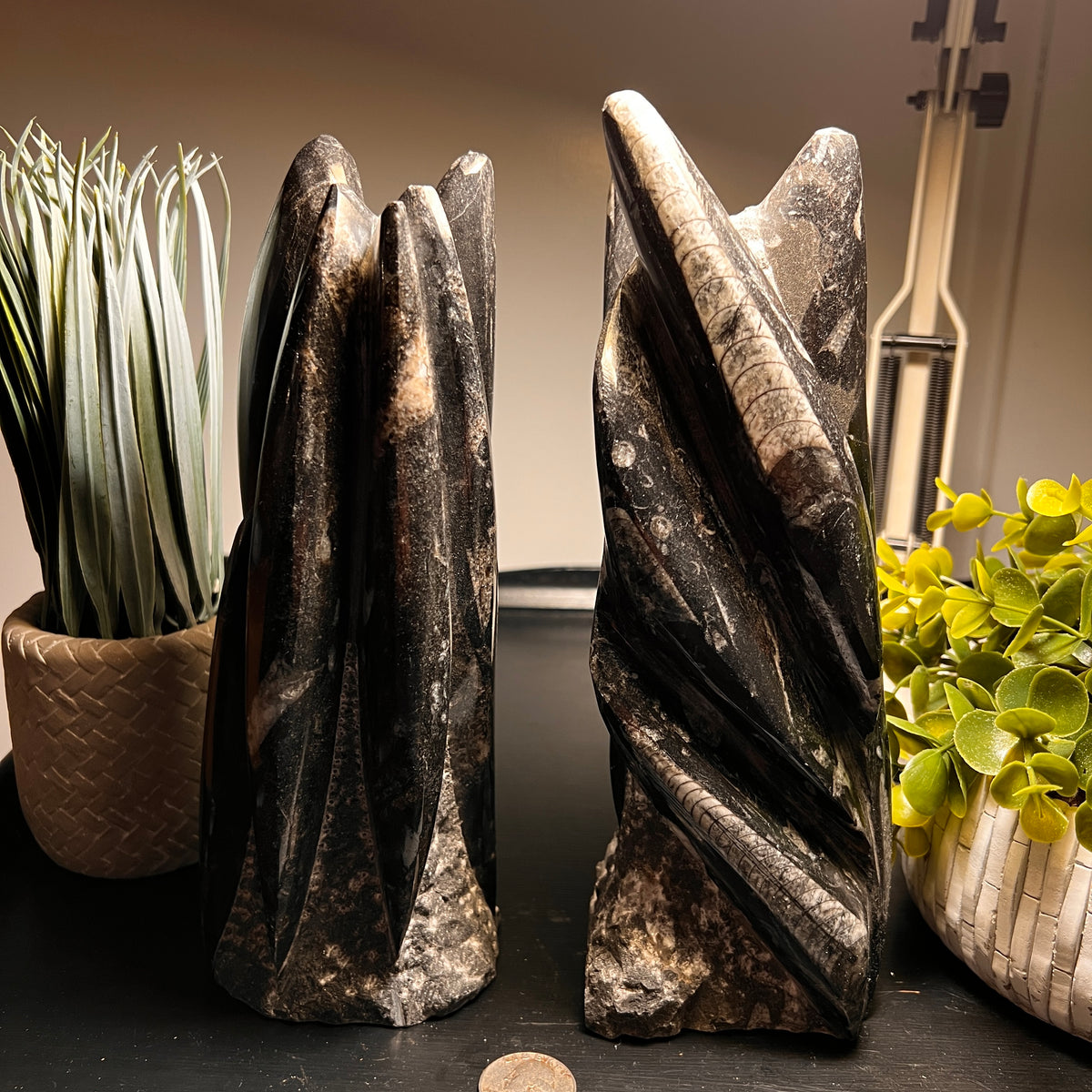 Black Orthoceras Tower - Twin Rocks and Crystals